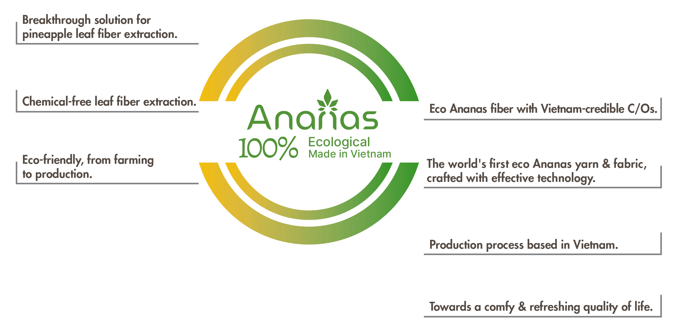 Ananas 100 Eological made in Vietnam - vong tron dua anh