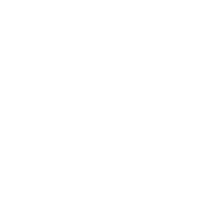 Logo WELL FABRIC PINEAPPLE
