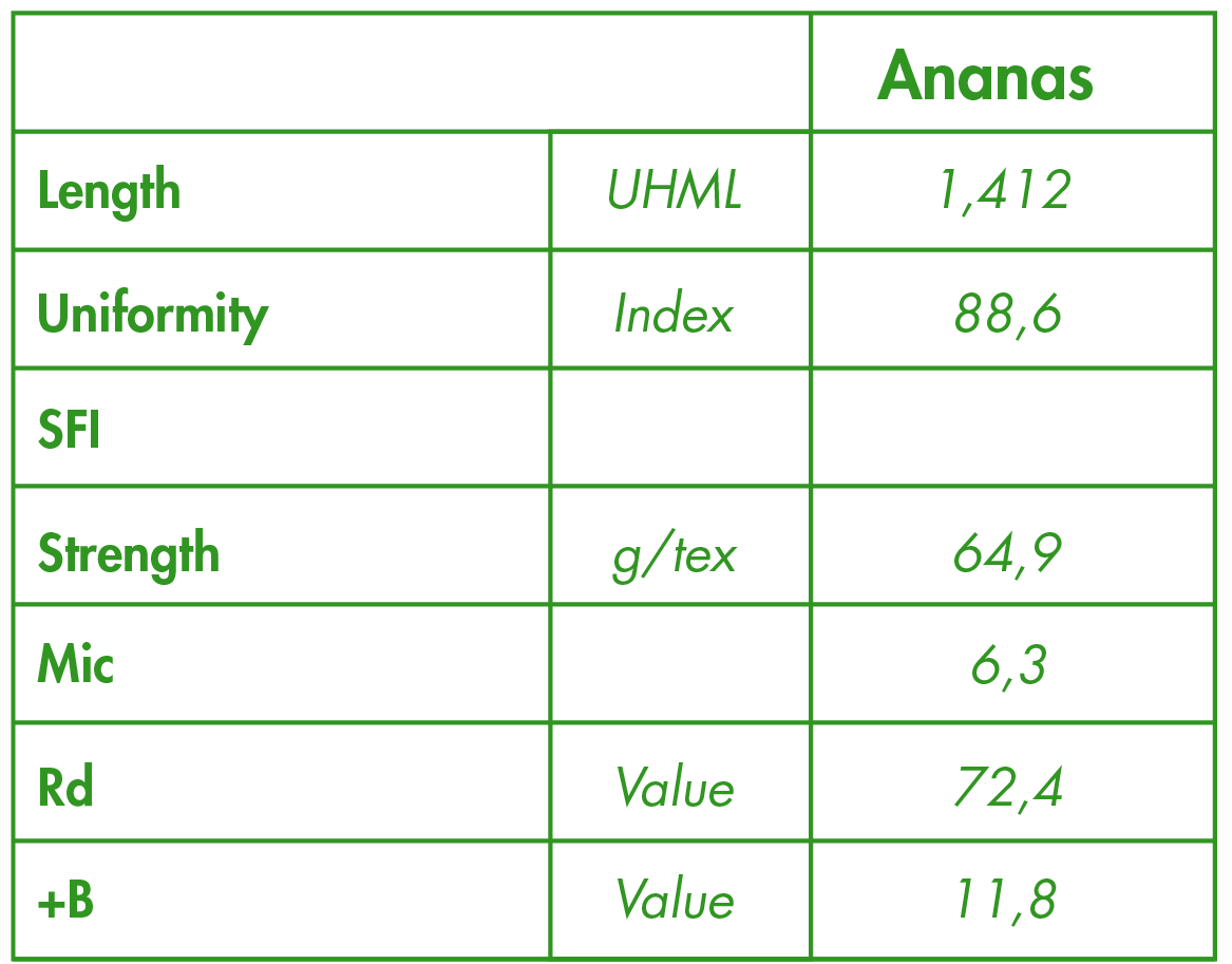 Specification - thong so ky thuat cua soi vai dua ananas-28