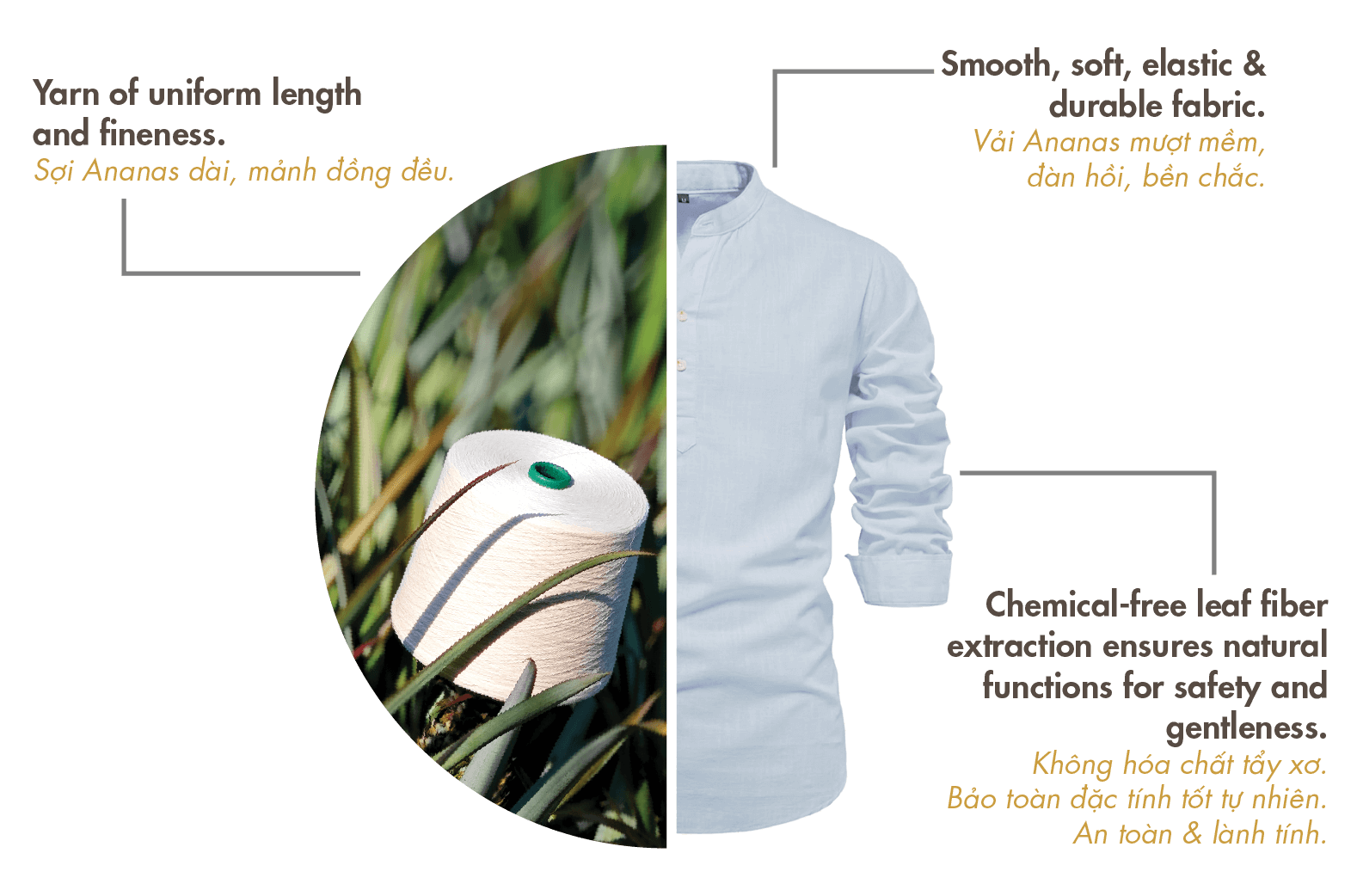 Sợi & Vải ANANAS Sợi vải dứa eco đầu tiên sản xuất quy mô lớn & thân thiện môi trường_Artboard 10 copy