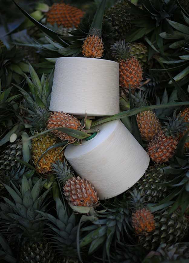 LANDINGPAGE CỤC SỢI DỨA ANANAS YARN