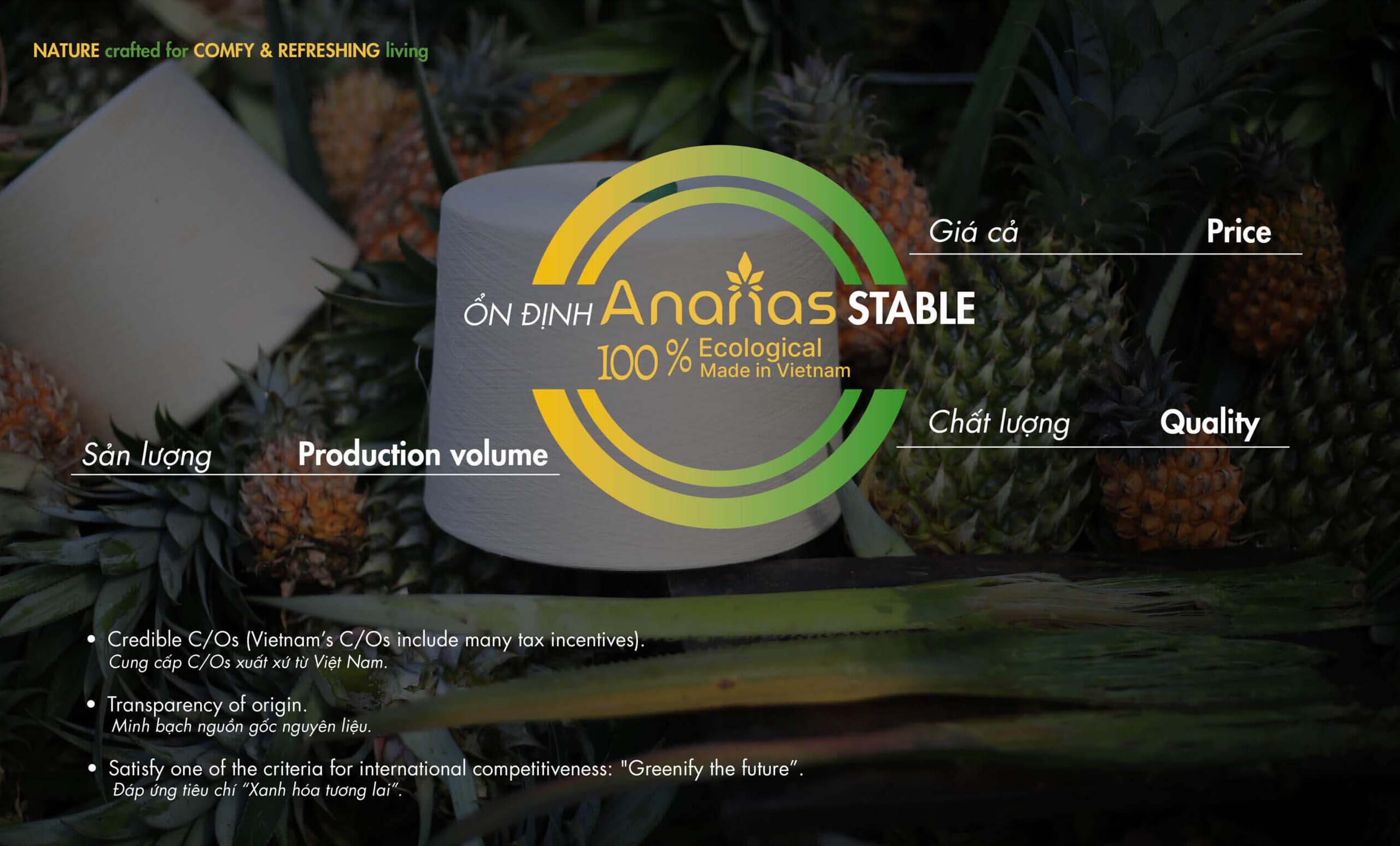 Why-choose-Ananas-On-dinh-Stable-Ananas-Vì Sao Chọn ANANAS