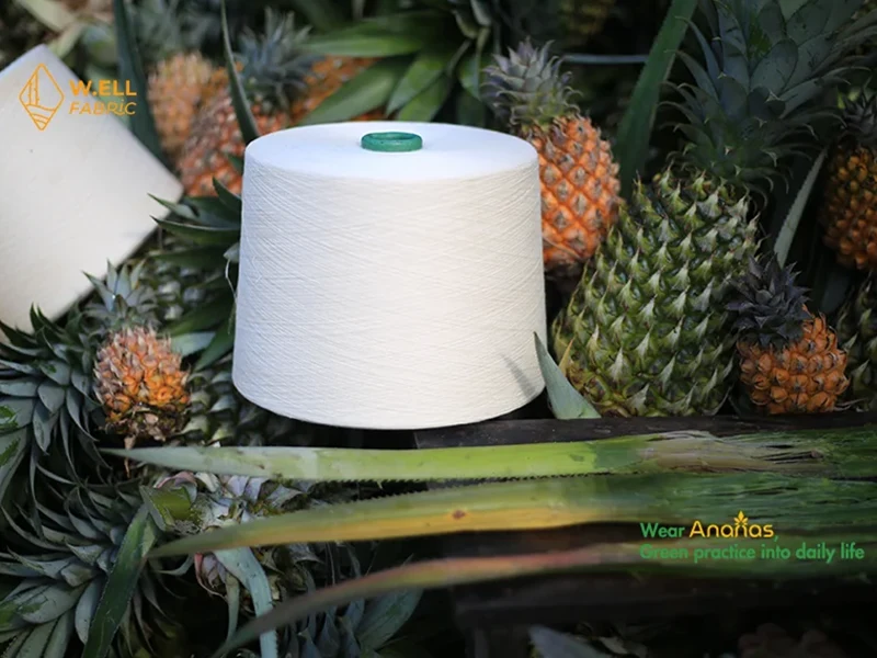 Pineapple Fabric The Story of a “Luxurious” Material